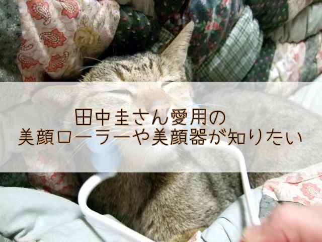 田中圭サン愛用の美顔器・ローラーって何?コロコロとビリビリから考察!